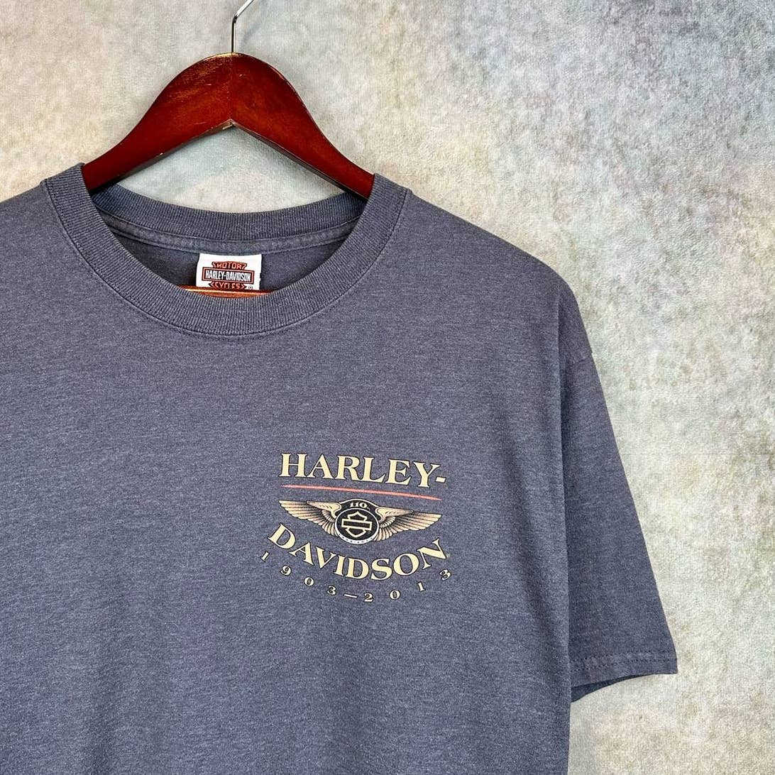 Harley Davidson T Shirt Gray L