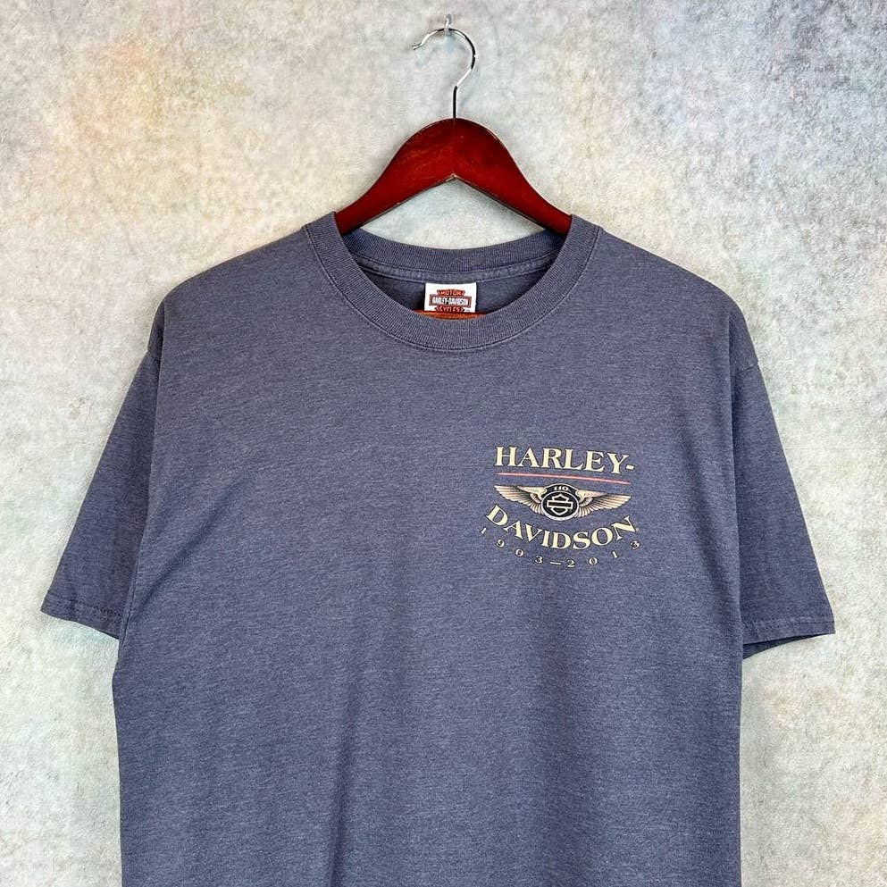 Harley Davidson T Shirt Gray L