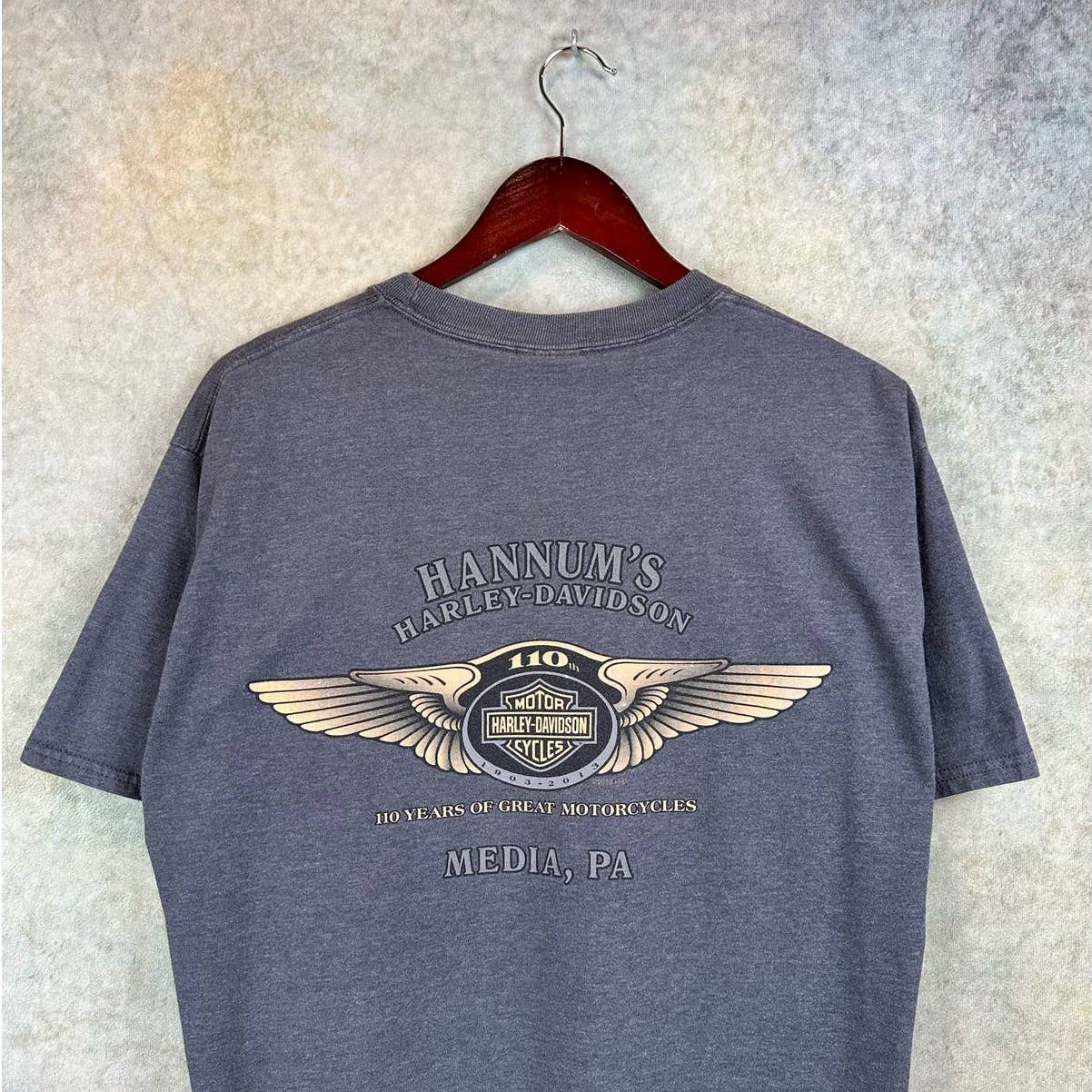 Harley Davidson T Shirt Gray L