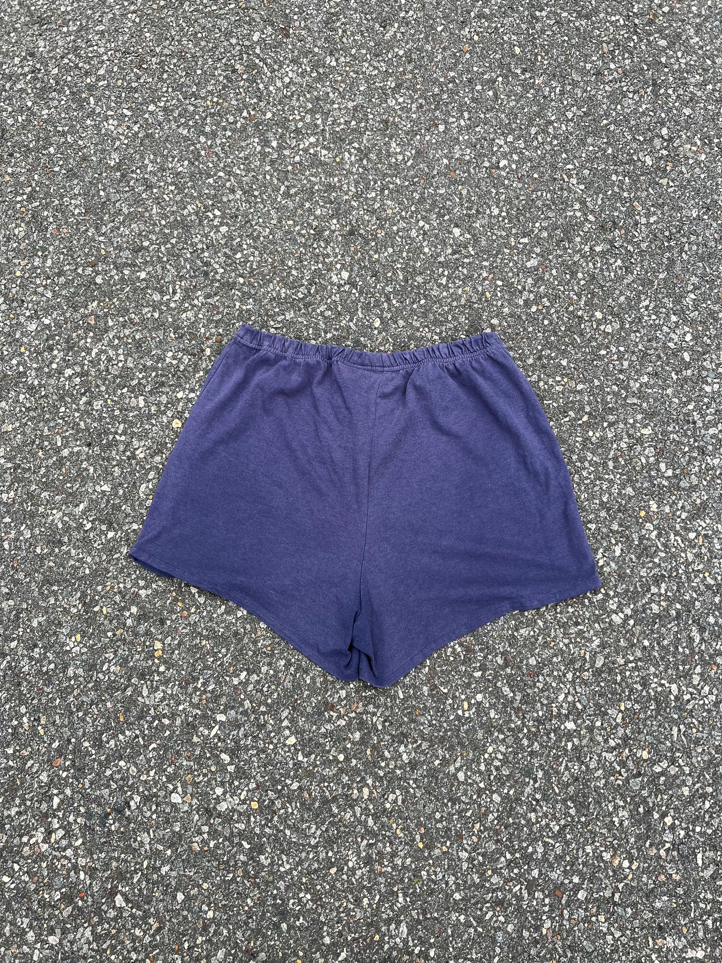 Vintage 90s Disney Mickey Sport Shorts