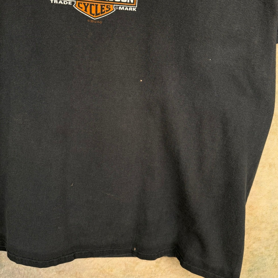 Y2K Harley Davidson Biker T Shirt XL