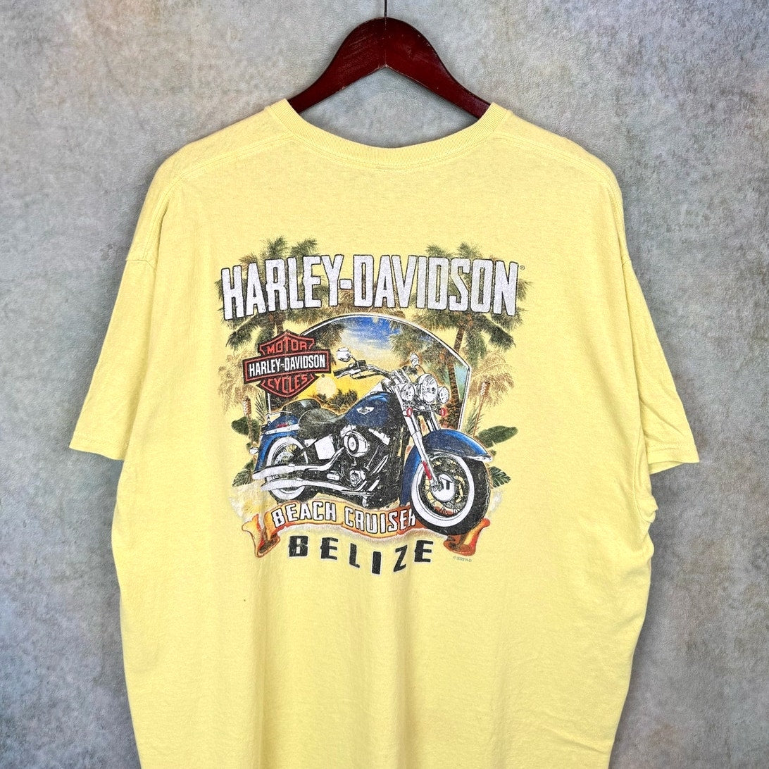 Harley Davidson Biker Graphic T Shirt XL