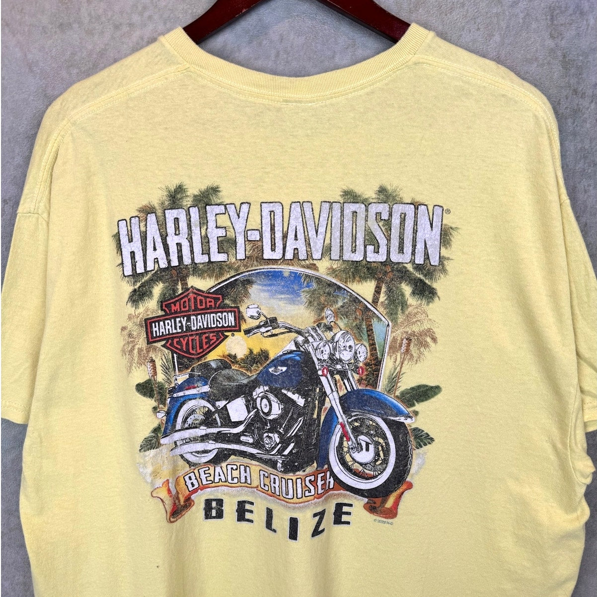 Harley Davidson Biker Graphic T Shirt XL